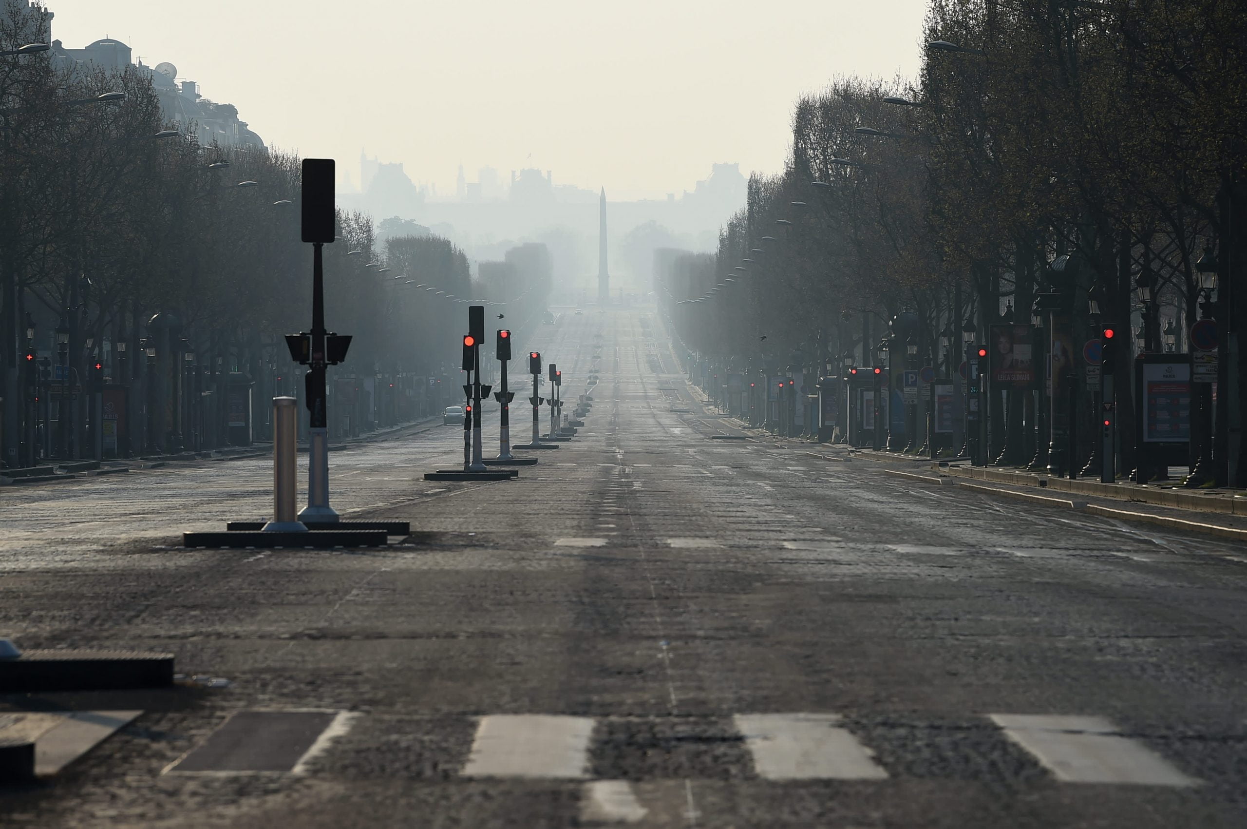 Covid recovery plans can help fight climate change