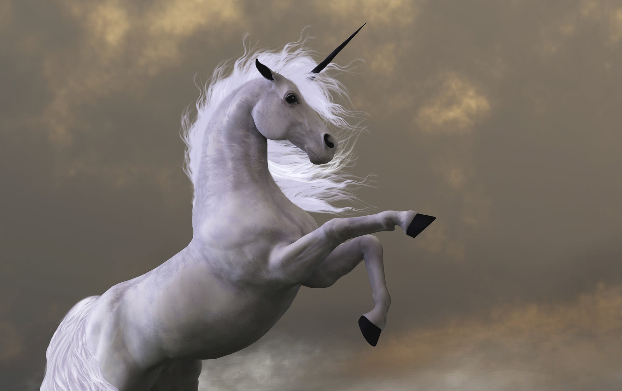 Silicon Valley Billion Dollar Unicorn Bets Placed During Pandemic