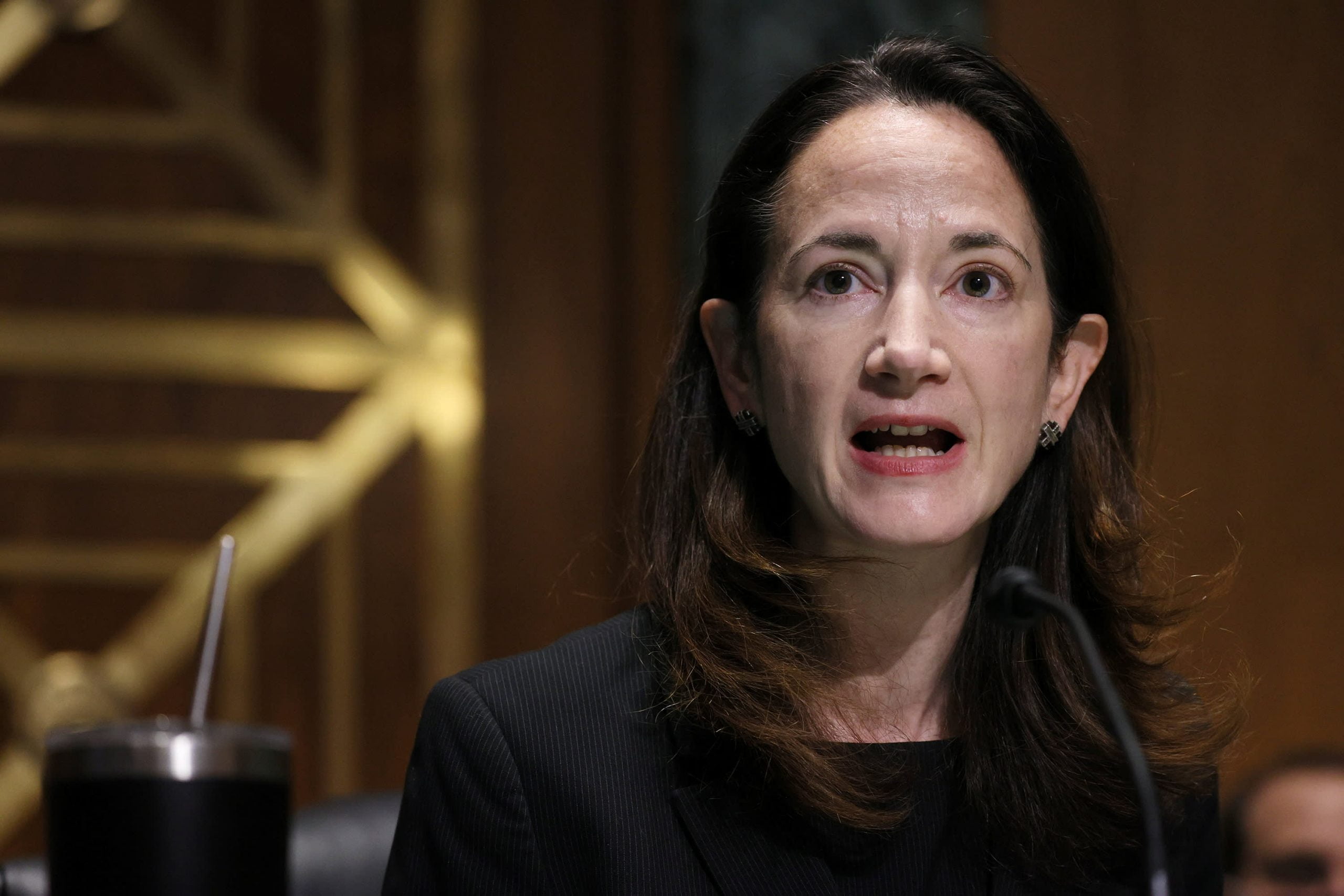 The Senate approves Avril Haines, the primary member of the Biden cupboard 1 The Senate approves Avril Haines, the first member of the Biden cabinet