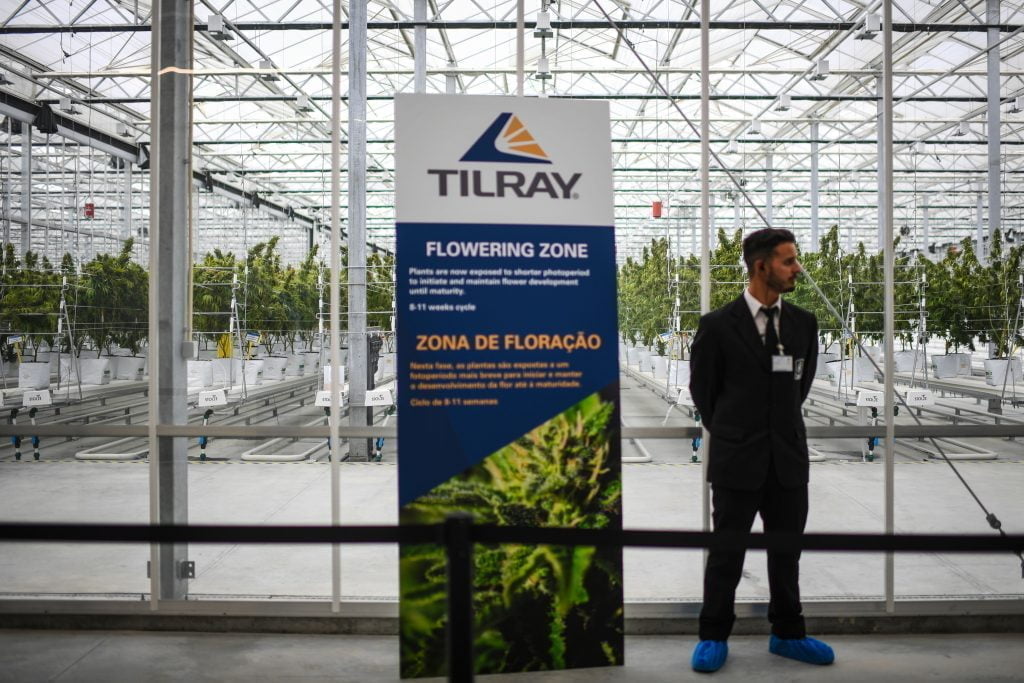 Tilray Inventory Rallies Underneath A Pot Distribution Settlement With Develop Pharma • MV TELEGRAPH - Vimarsana News