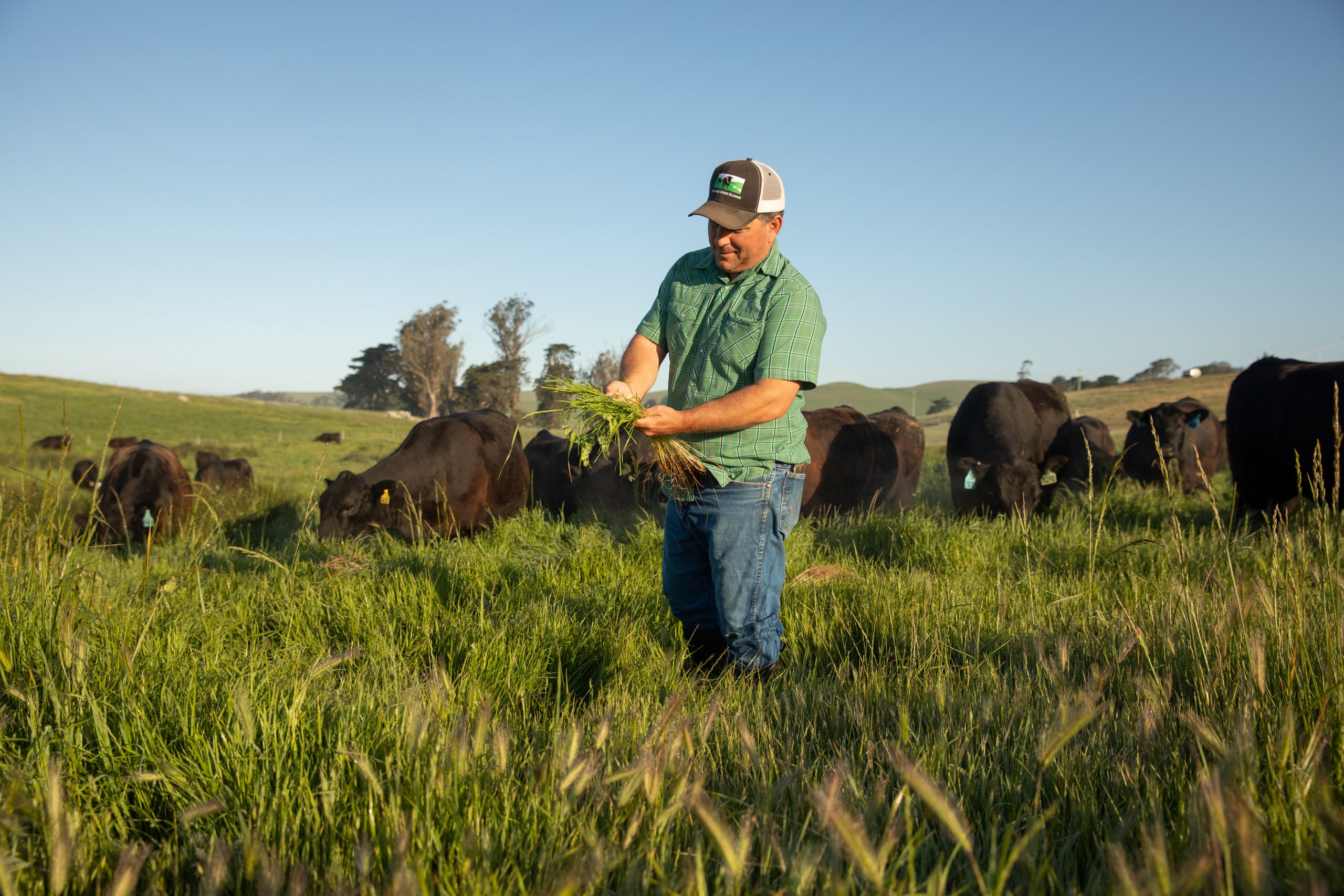 Pay farmers to reduce their carbon footprint
