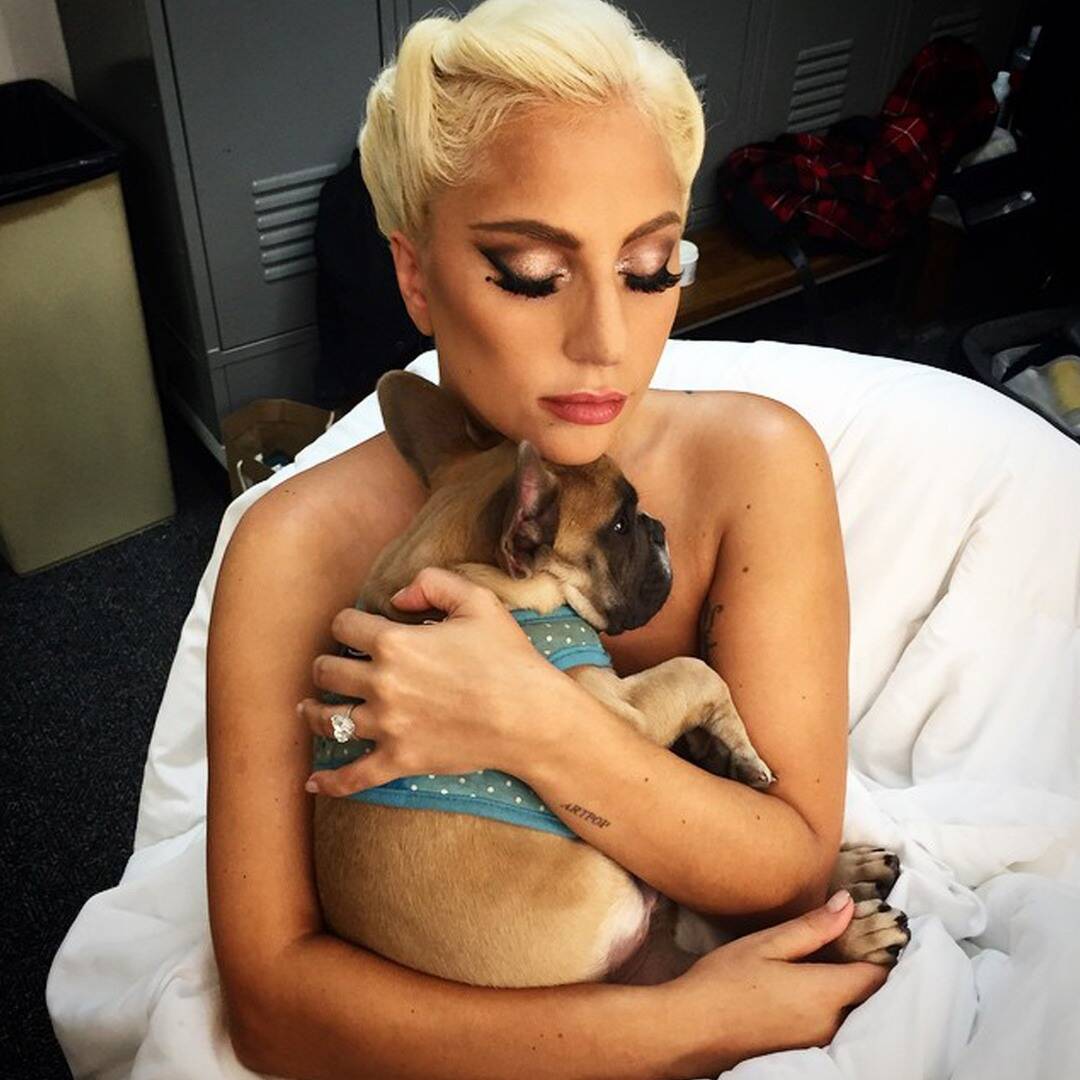 Lady Gaga's dogs recovered safely 2 days after the armed robbery