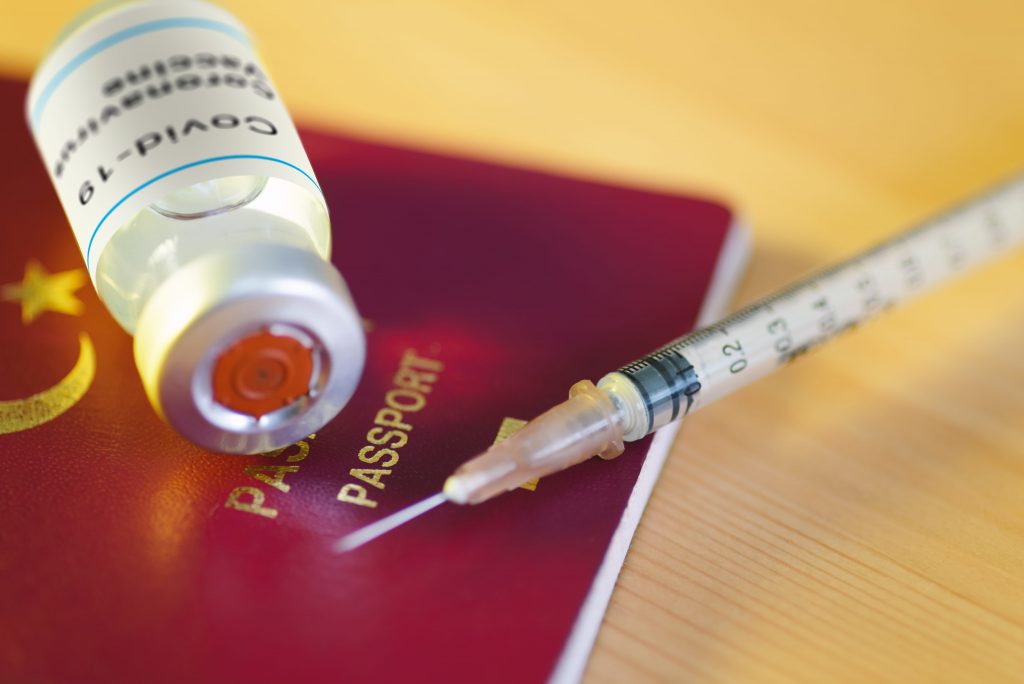 Do I Want Proof Of Vaccination To Journey Overseas? • MV TELEGRAPH - Vimarsana News