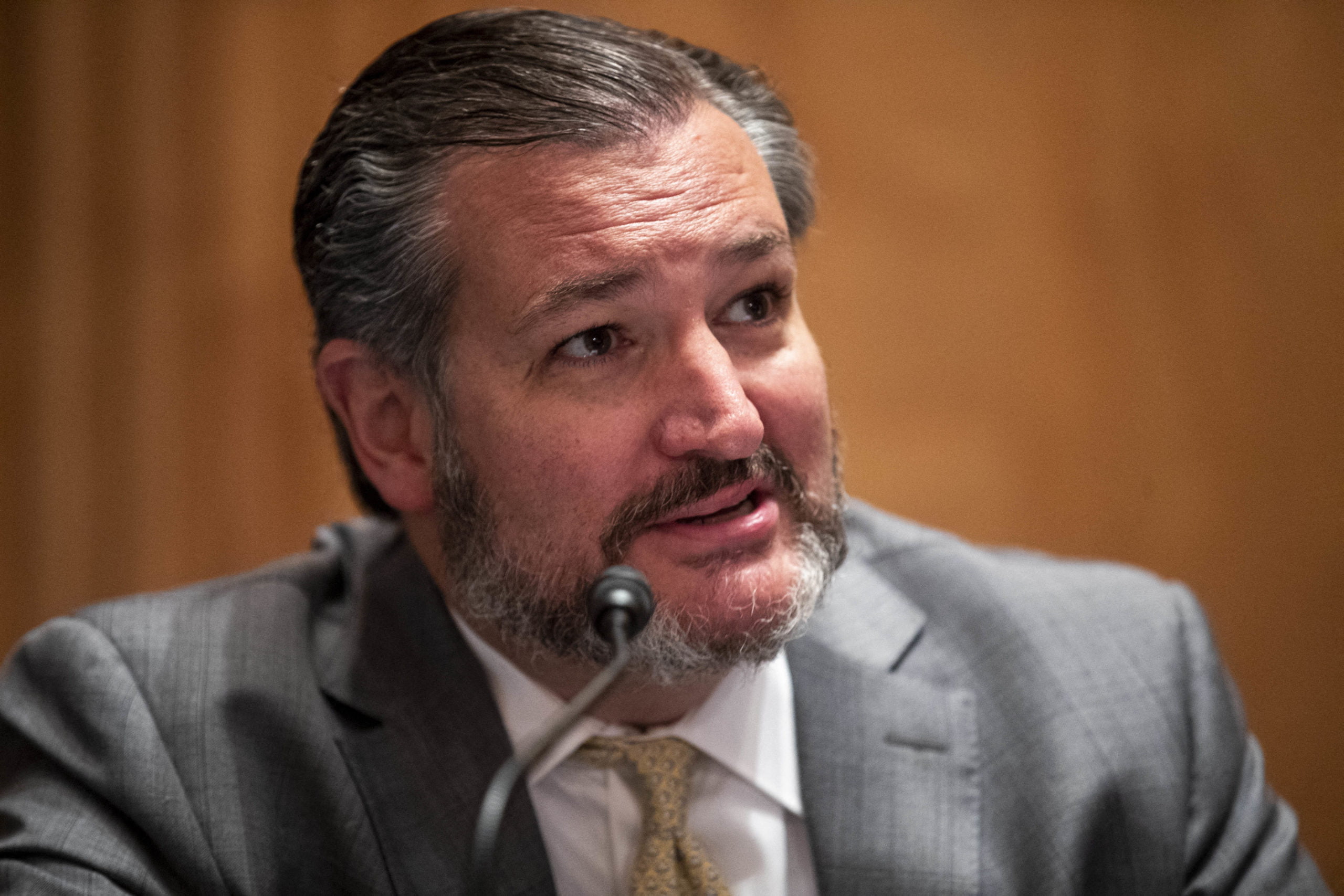 Ted Cruz has a fit and accuses Biden of intimidating Tucker Carlson