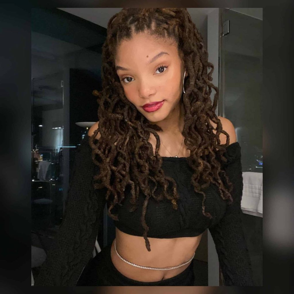 Halle Bailey Tweeted Help For Sister Chloe Bailey After Mathew Knowles' Latest Feedback - "I Am Going To Drive To The Tip For My Sister" • MV TELEGRAPH - Vimarsana News
