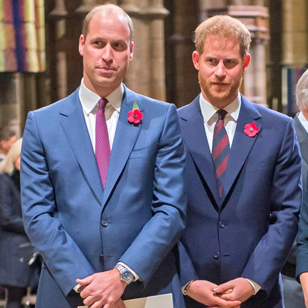 Would Prince William leave the royal system?  Prince Harry says ...