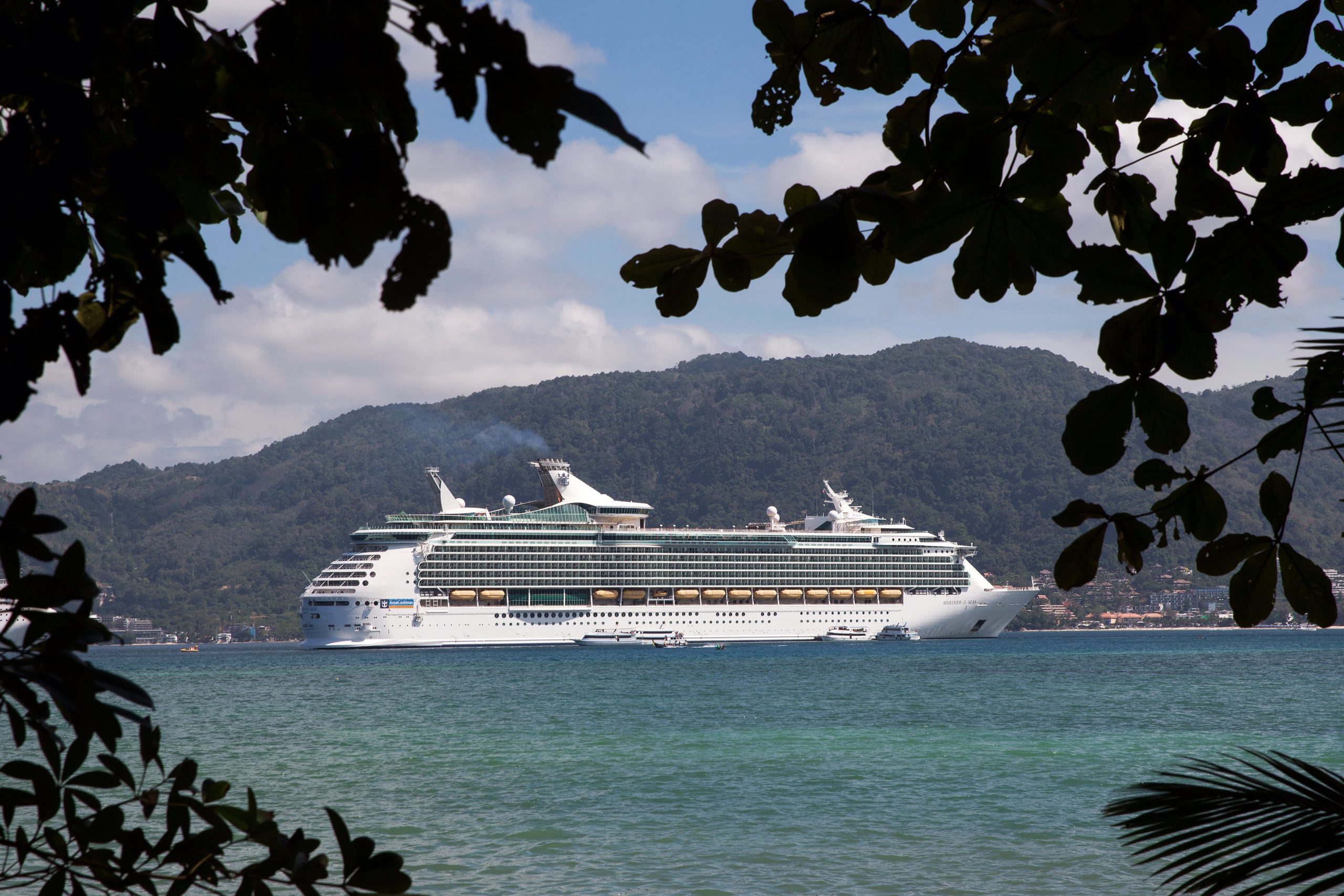 Royal Caribbean halts hiring in India as Covid cases increase there