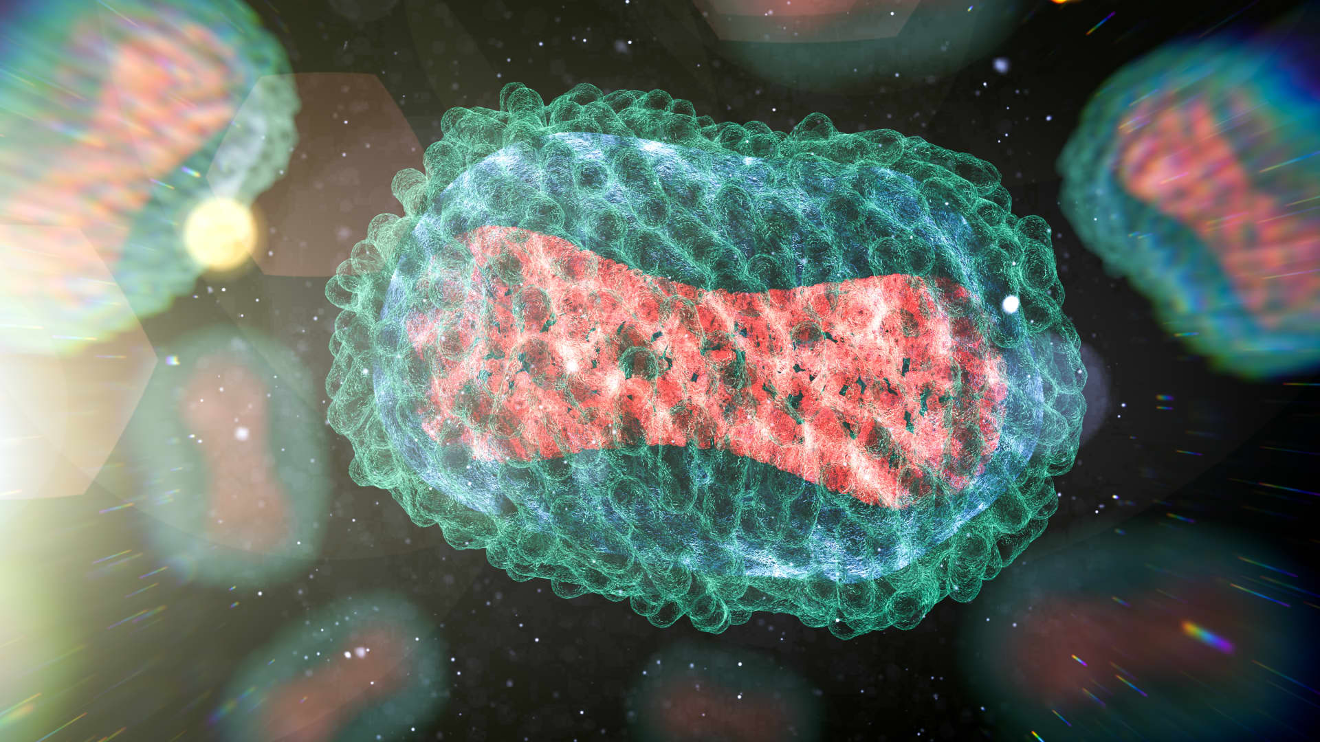 scientists fear virus might infect animals 1 scientists worry virus could infect animals