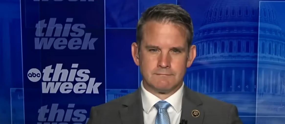 Kinzinger opens the door to adjust to Trump's request for a reside testimony 2 PoliticusUSA