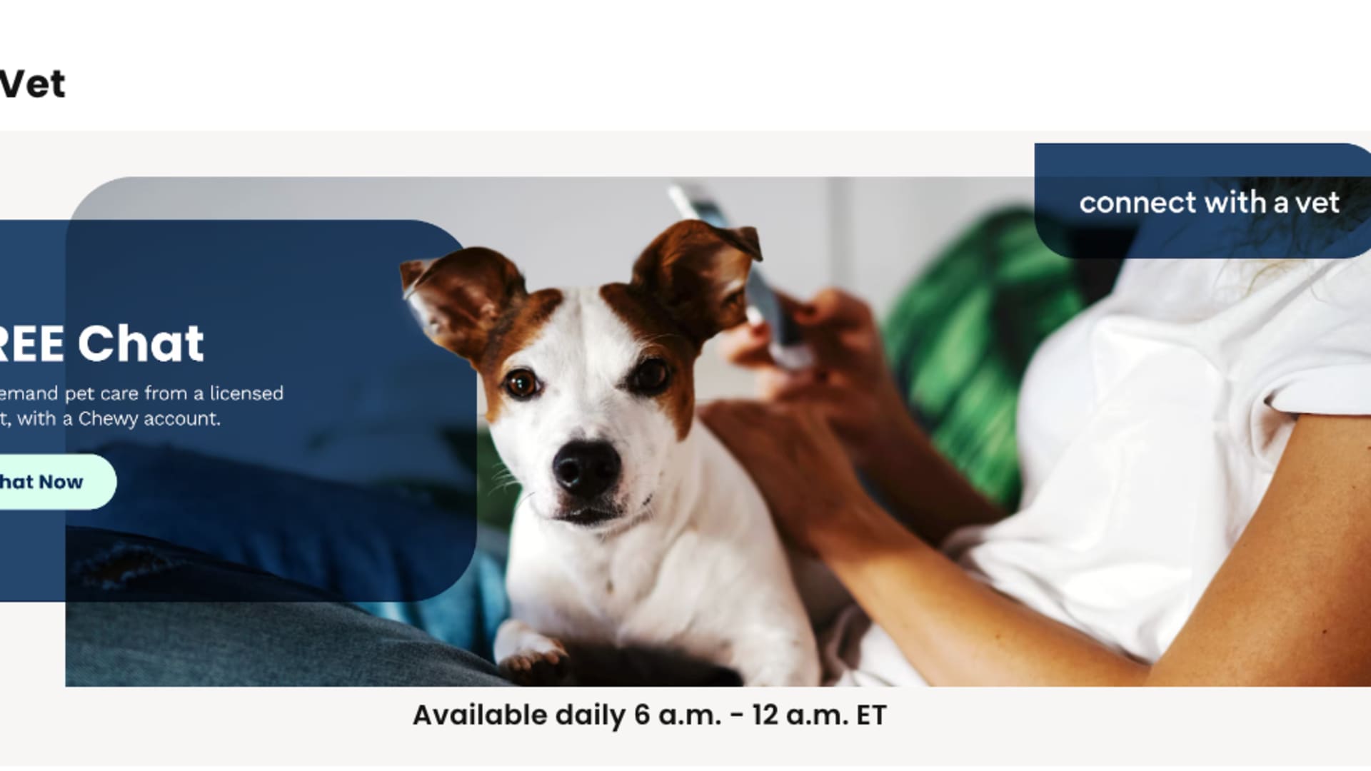 Chewy Connect With a Vet steht vor Kritik und rechtlichen Hürden