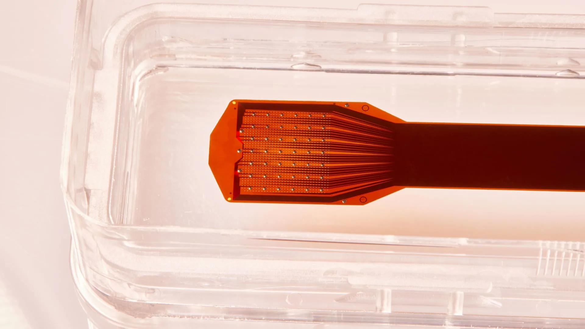 Precision Neuroscience, founded by Neuralink alum, raises $41 million