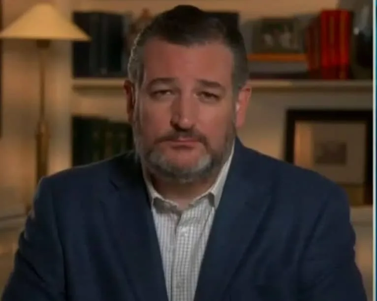 Bombshell captures Ted Cruz, who is criminally plotting a coup for Trump
