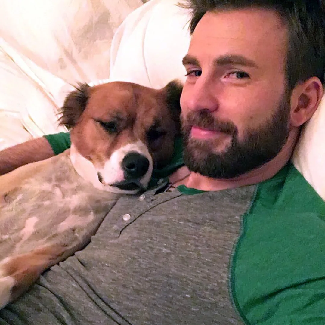 See all the celebrity dog ​​dads with their adorable puppies