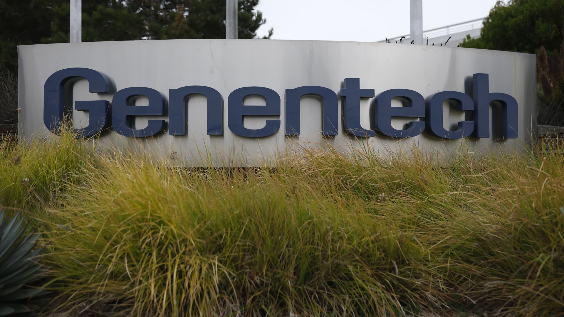 Genentech launches direct sales program for flu pill Xofluza