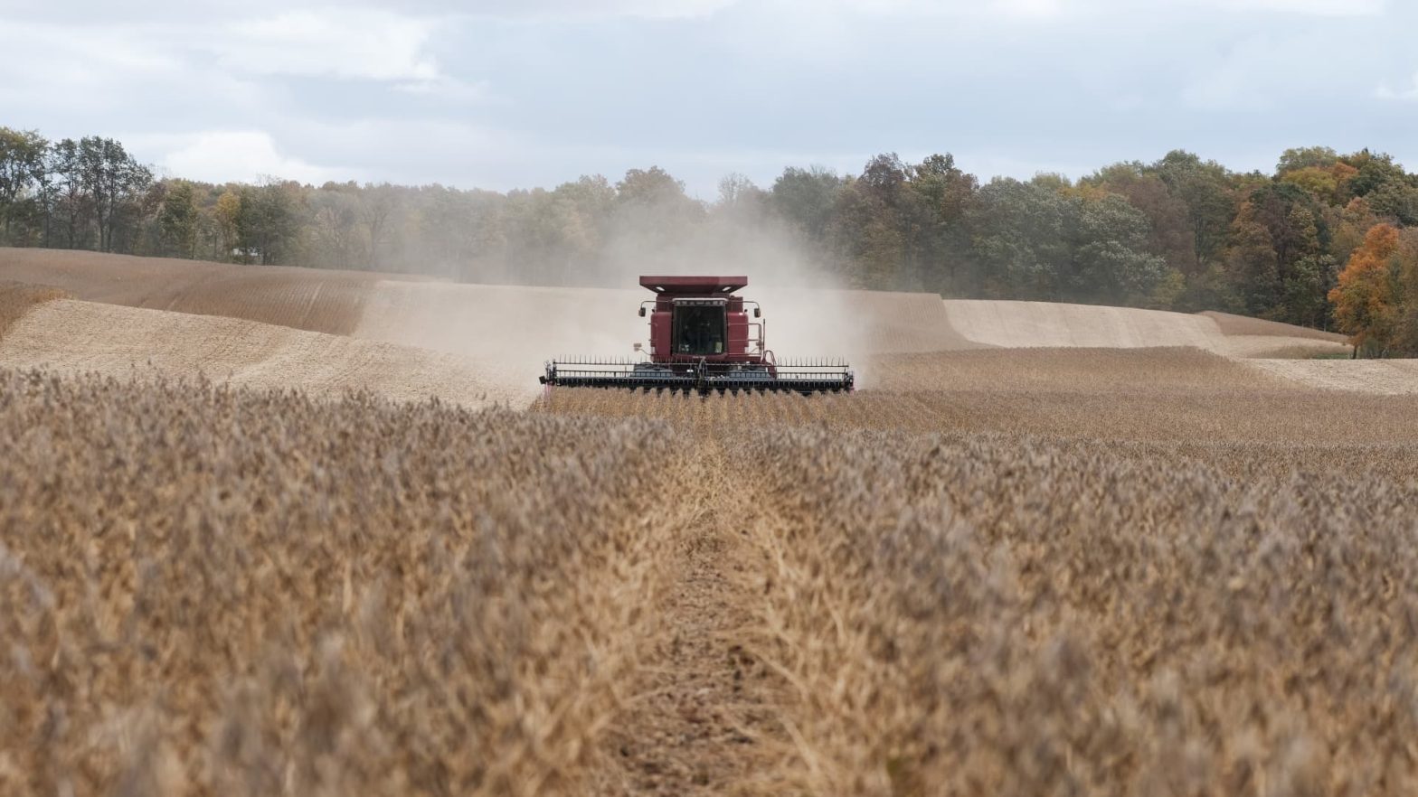 Die Zölle der US-Bundesstaaten steigen, da Trump während der Halbzeitwahlen mit einem Kampf um die Erschwinglichkeit konfrontiert ist