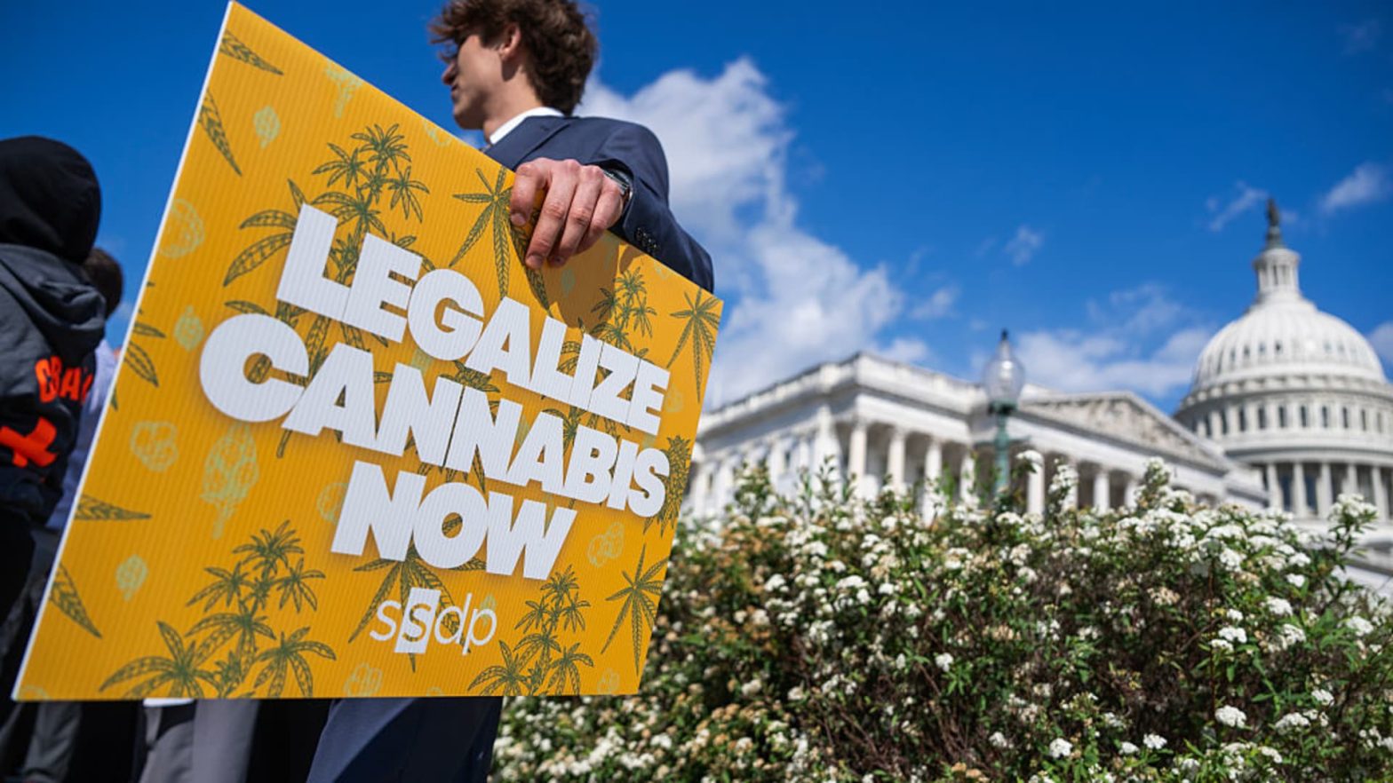 Trump’s Government Order on Psychedelics and What It Means for Hashish