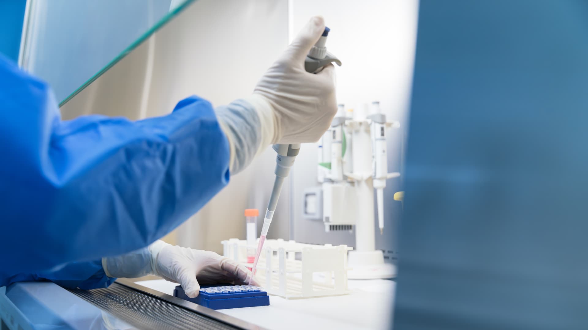 Abivax inventory tumbles attributable to most cancers circumstances in colon drug trial