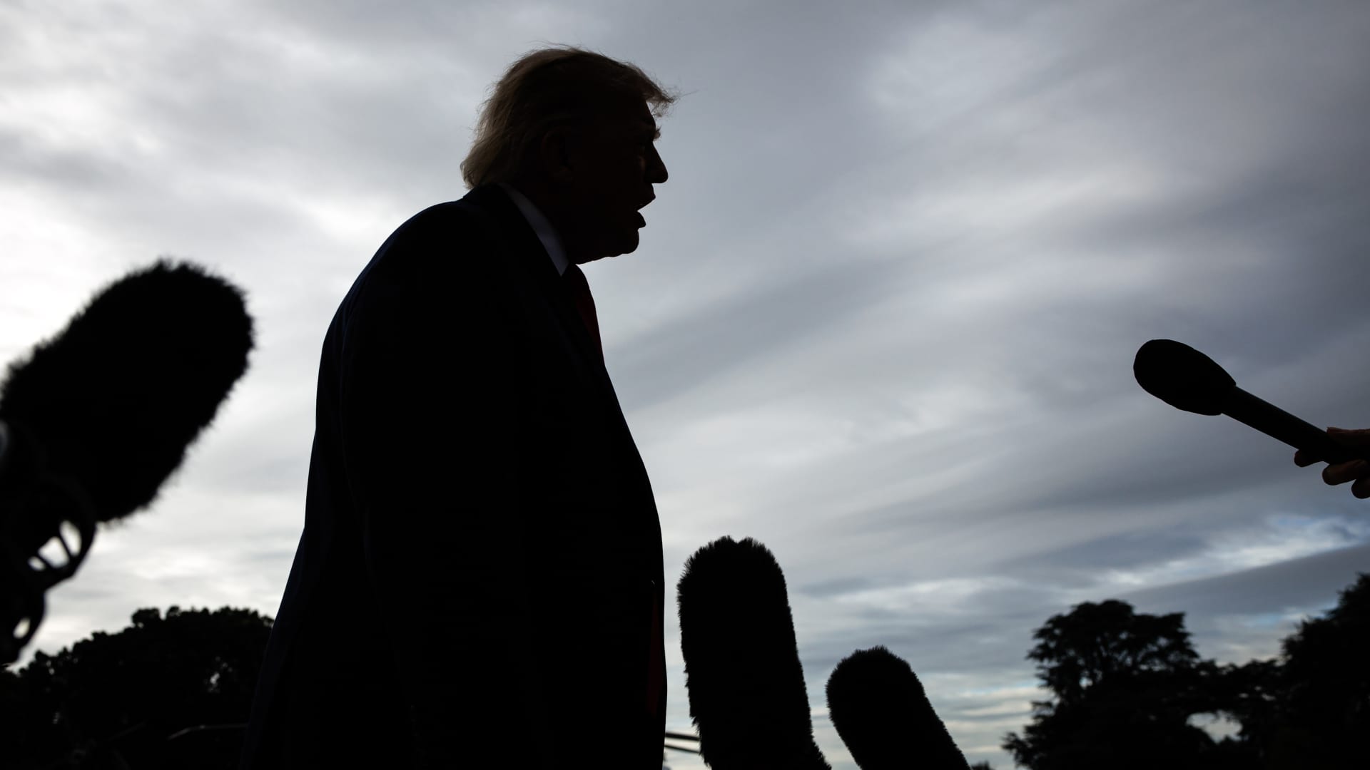 Authorities-funded Trump adverts are getting consideration